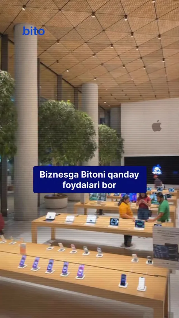 Bitoni biznesingiz uchun qanday foydalari bor ?
